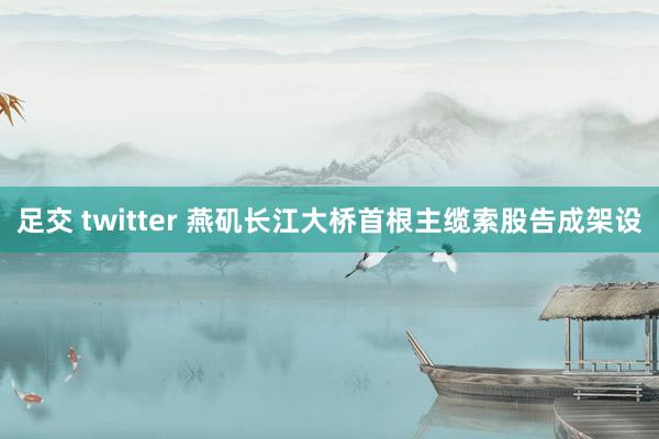 足交 twitter 燕矶长江大桥首根主缆索股告成架设