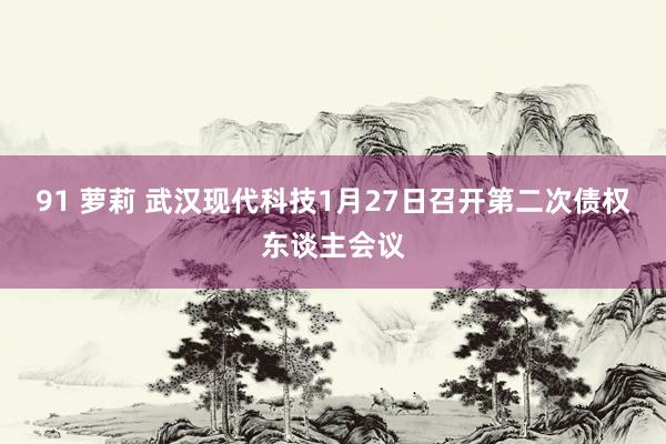 91 萝莉 武汉现代科技1月27日召开第二次债权东谈主会议