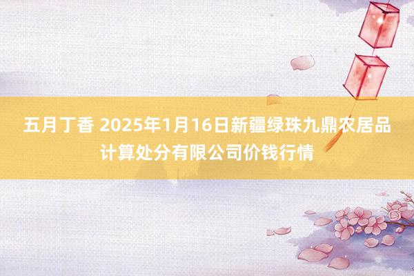 五月丁香 2025年1月16日新疆绿珠九鼎农居品计算处分有限公司价钱行情