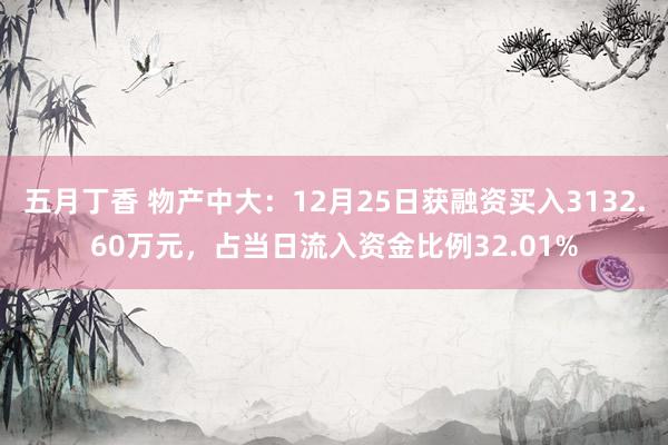 五月丁香 物产中大：12月25日获融资买入3132.60万元，占当日流入资金比例32.01%
